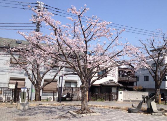 さくら公園